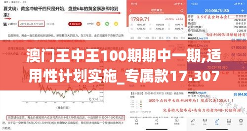 澳門王中王100期期中一期,適用性計劃實施_專屬款17.307
