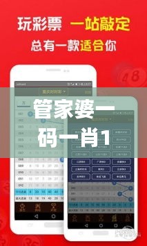 管家婆一碼一肖100準(zhǔn),精確數(shù)據(jù)解析說明_yShop8.225