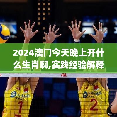 2024澳門今天晚上開什么生肖啊,實踐經(jīng)驗解釋定義_V10.709