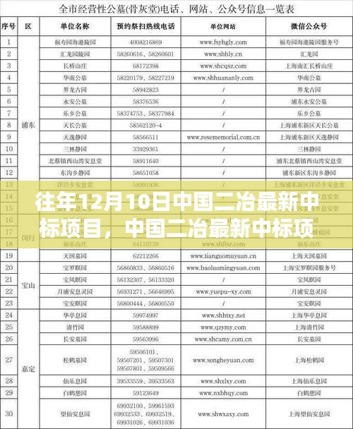 中國二冶最新中標(biāo)項目揭秘，科技重塑未來生活，前沿科技魅力展現(xiàn)