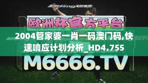 2004管家婆一肖一碼澳門碼,快速響應計劃分析_HD4.755