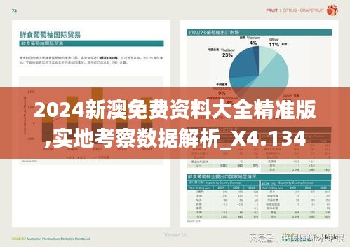 2024新澳免費(fèi)資料大全精準(zhǔn)版,實(shí)地考察數(shù)據(jù)解析_X4.134