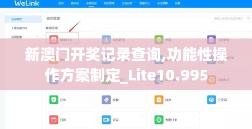 新澳門開獎記錄查詢,功能性操作方案制定_Lite10.995