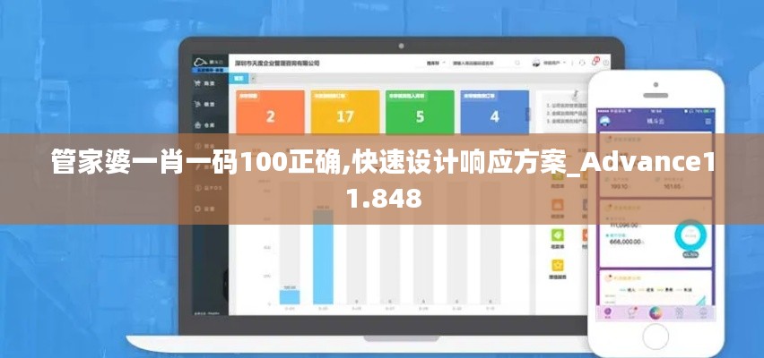 管家婆一肖一碼100正確,快速設(shè)計響應(yīng)方案_Advance11.848