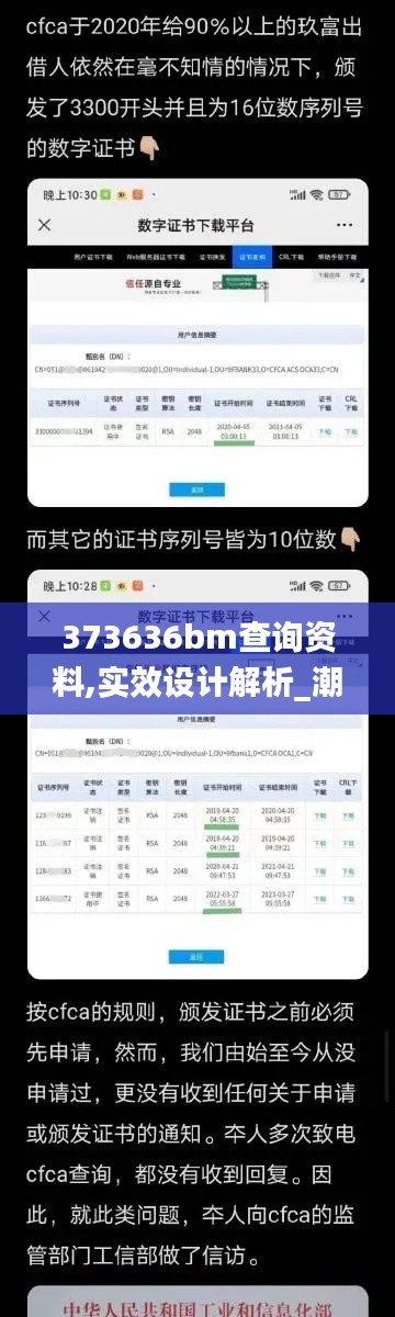 373636bm查詢資料,實(shí)效設(shè)計(jì)解析_潮流版9.520