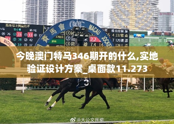 今晚澳門特馬346期開的什么,實(shí)地驗(yàn)證設(shè)計(jì)方案_桌面款11.273