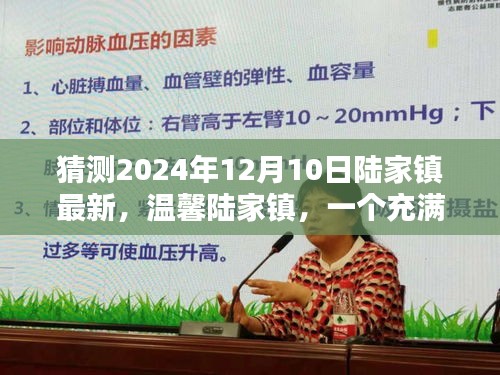 溫馨陸家鎮(zhèn)，愛與陪伴的奇妙日常（最新預測至2024年12月10日）