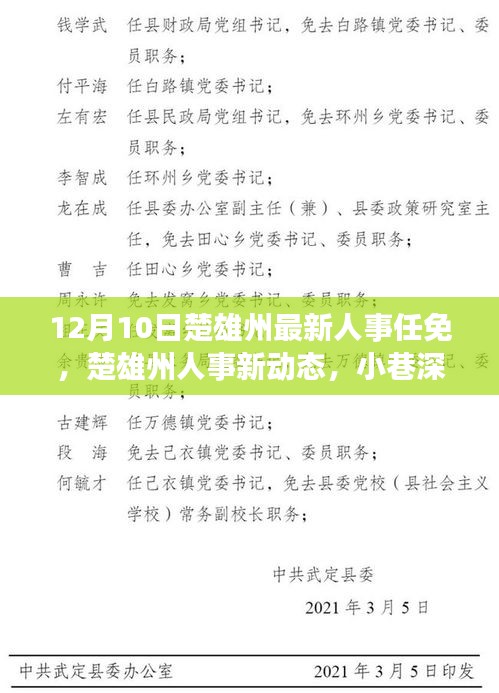 楚雄州人事任免動態(tài)及小巷美食秘境，揭秘最新人事任免背后的故事