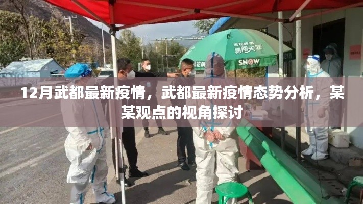 武都最新疫情動態(tài)及態(tài)勢分析，某某觀點視角下的探討
