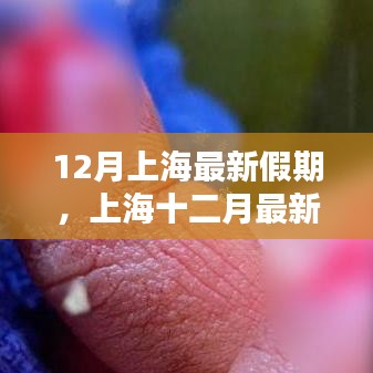 上海十二月假期政策解析，優(yōu)劣分析與個(gè)人觀點(diǎn)分享