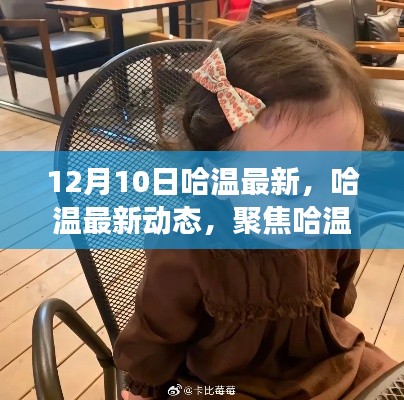 哈溫最新動態(tài)與發(fā)展三大要點(diǎn)深度解析，聚焦12月10日最新資訊