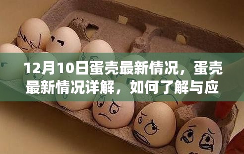 蛋殼最新動態(tài)解析，了解與應對蛋殼變化的初學者與進階用戶指南