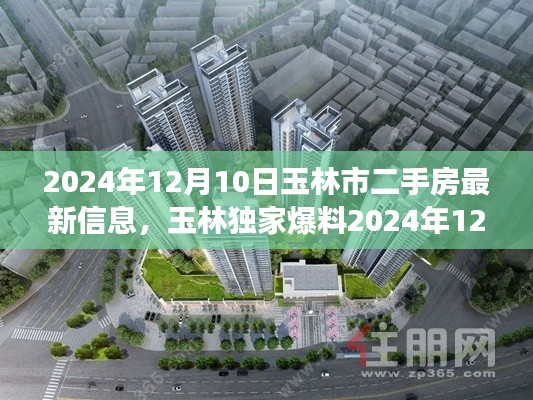 2024年玉林市二手房最新信息曝光，深度解析市場趨勢，購房指南不容錯過