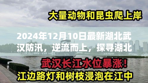 湖北武漢防汛之旅，逆流而上探尋寧?kù)o之美