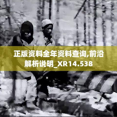 正版資料全年資料查詢,前沿解析說明_XR14.538