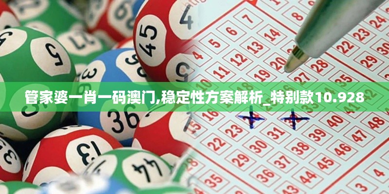 管家婆一肖一碼澳門,穩(wěn)定性方案解析_特別款10.928