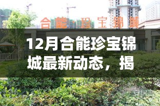 揭秘合能珍寶錦城最新動(dòng)態(tài)，特色小店探秘與十二月最新進(jìn)展