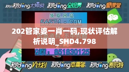 202管家婆一肖一碼,現(xiàn)狀評估解析說明_SHD4.798