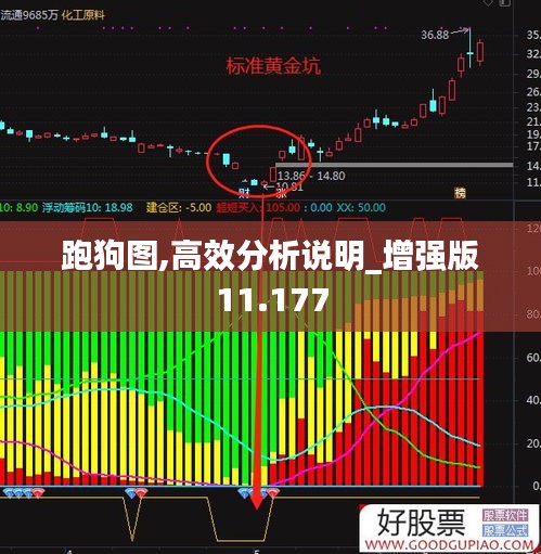 跑狗圖,高效分析說(shuō)明_增強(qiáng)版11.177