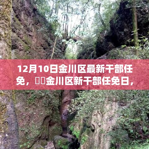 金川區(qū)新任命的干部與大自然的共舞之旅，美麗之旅啟程于繁忙之中