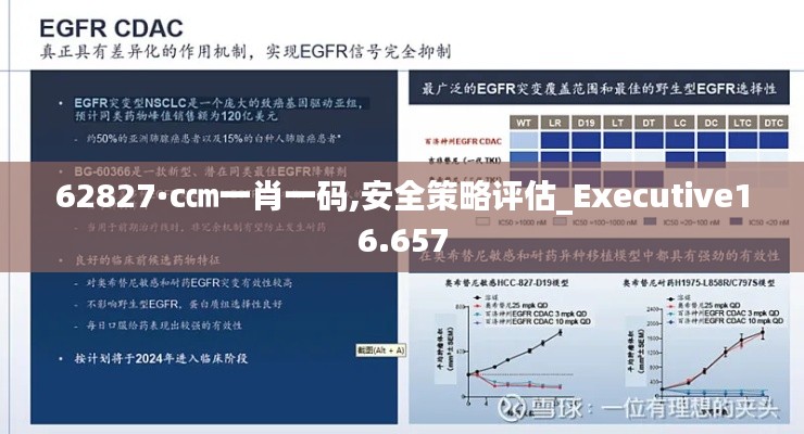 62827·c㎝一肖一碼,安全策略評估_Executive16.657