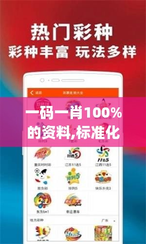 一碼一肖100%的資料,標(biāo)準(zhǔn)化實(shí)施程序分析_安卓版5.164