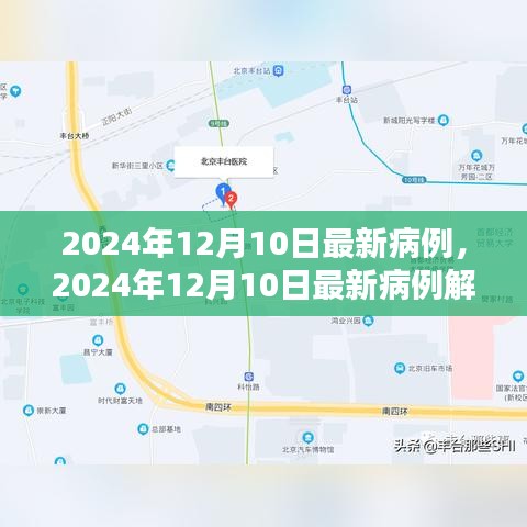 2024年12月10日最新病例解析，探索疾病新動態(tài)與應(yīng)對策略