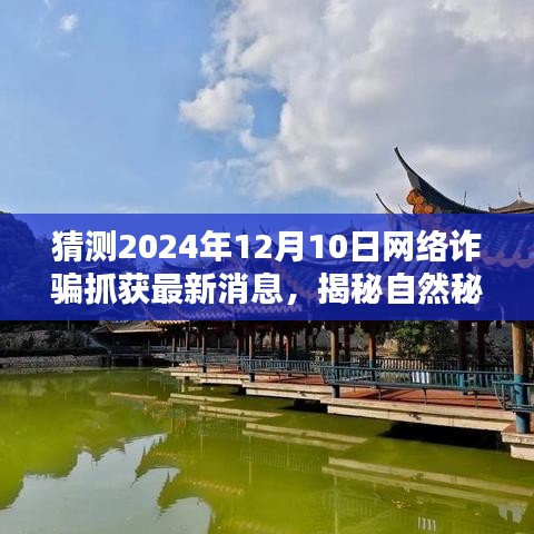 揭秘網(wǎng)絡(luò)詐騙背后的綠色征途，探尋自然秘境，2024年抓捕行動(dòng)最新進(jìn)展及未來(lái)展望