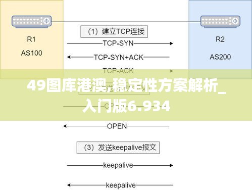 49圖庫(kù)港澳,穩(wěn)定性方案解析_入門(mén)版6.934