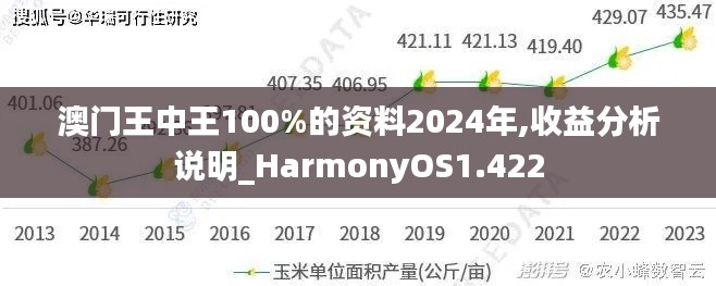 澳門王中王100%的資料2024年,收益分析說明_HarmonyOS1.422