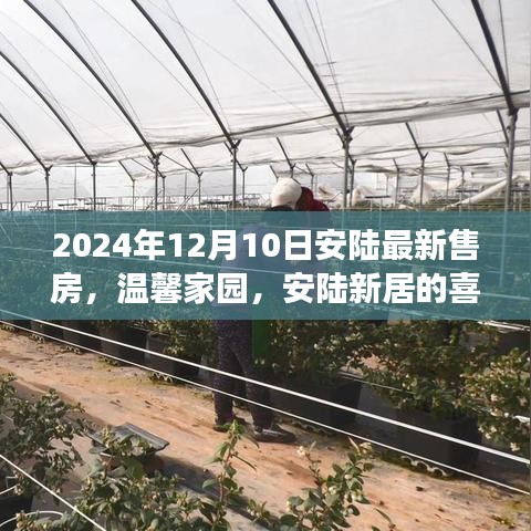 溫馨家園新篇章，安陸新居喜悅之旅，2024年售房新動態(tài)