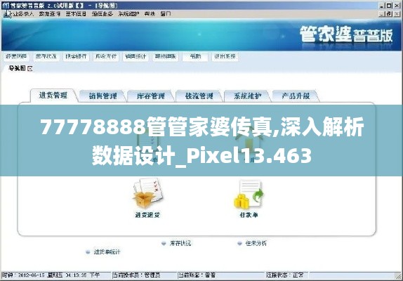 77778888管管家婆傳真,深入解析數(shù)據(jù)設(shè)計(jì)_Pixel13.463