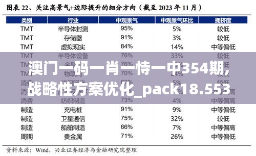 澳門一碼一肖一恃一中354期,戰(zhàn)略性方案優(yōu)化_pack18.553