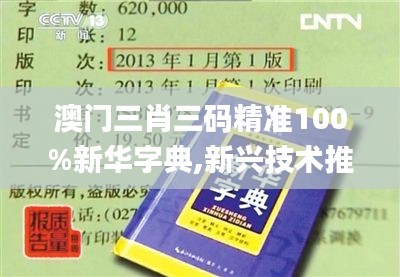 澳門三肖三碼精準(zhǔn)100%新華字典,新興技術(shù)推進(jìn)策略_XR5.495