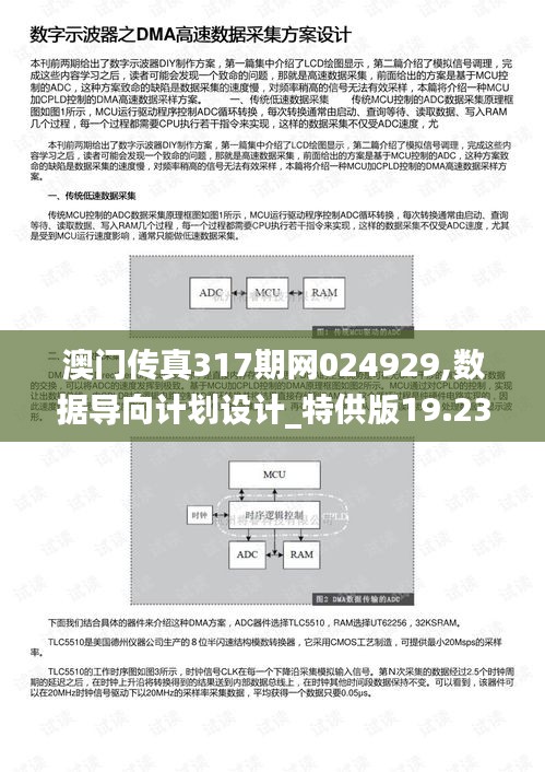 澳門傳真317期網(wǎng)024929,數(shù)據(jù)導(dǎo)向計(jì)劃設(shè)計(jì)_特供版19.234