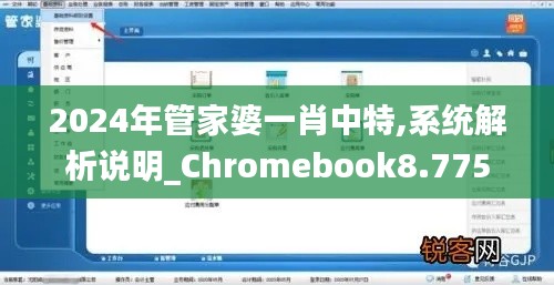 2024年管家婆一肖中特,系統(tǒng)解析說明_Chromebook8.775