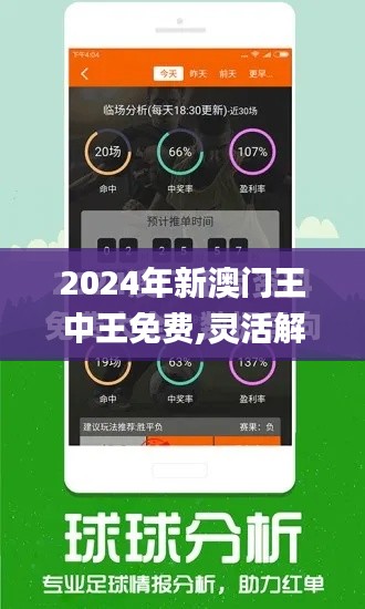 2024年新澳門王中王免費,靈活解析方案_超值版17.218