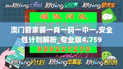 澳門管家婆一肖一碼一中一,安全性計(jì)劃解析_專業(yè)版4.759
