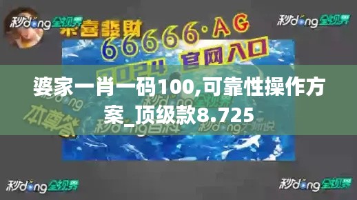 婆家一肖一碼100,可靠性操作方案_頂級(jí)款8.725