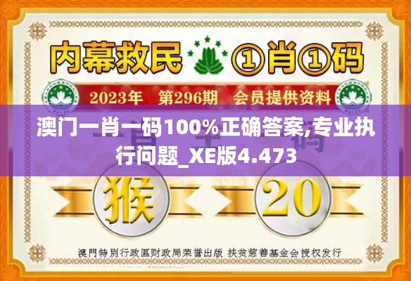 澳門一肖一碼100%正確答案,專業(yè)執(zhí)行問題_XE版4.473