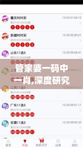 管家婆一碼中一肖,深度研究解釋定義_AR版6.795