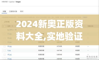 2024新奧正版資料大全,實(shí)地驗(yàn)證數(shù)據(jù)應(yīng)用_uShop2.207