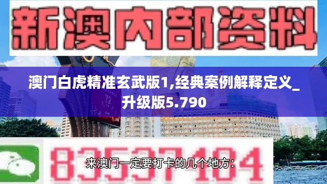 澳門(mén)白虎精準(zhǔn)玄武版1,經(jīng)典案例解釋定義_升級(jí)版5.790