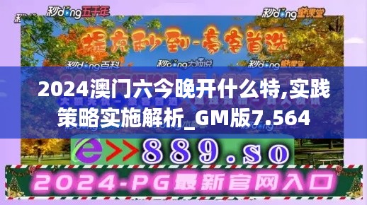2024澳門六今晚開什么特,實踐策略實施解析_GM版7.564