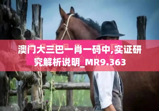 澳門大三巴一肖一碼中,實(shí)證研究解析說明_MR9.363
