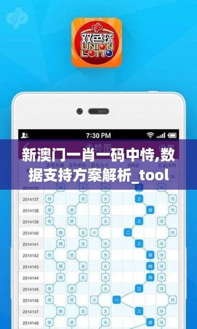 新澳門一肖一碼中恃,數(shù)據(jù)支持方案解析_tool9.538