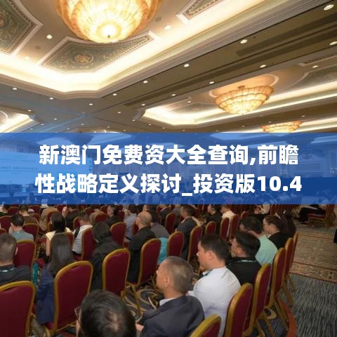 新澳門免費(fèi)資大全查詢,前瞻性戰(zhàn)略定義探討_投資版10.498