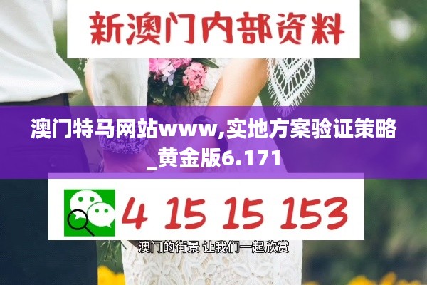 澳門特馬網(wǎng)站www,實地方案驗證策略_黃金版6.171