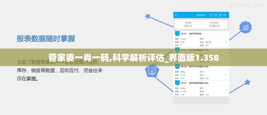 管家婆一肖一碼,科學(xué)解析評估_界面版1.358