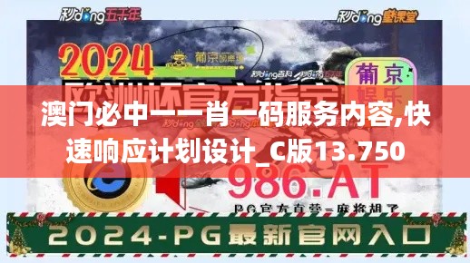 澳門必中一一肖一碼服務內容,快速響應計劃設計_C版13.750